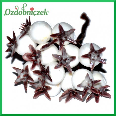 DZIKA RÓŻA BIAŁA na druciku 12szt. 