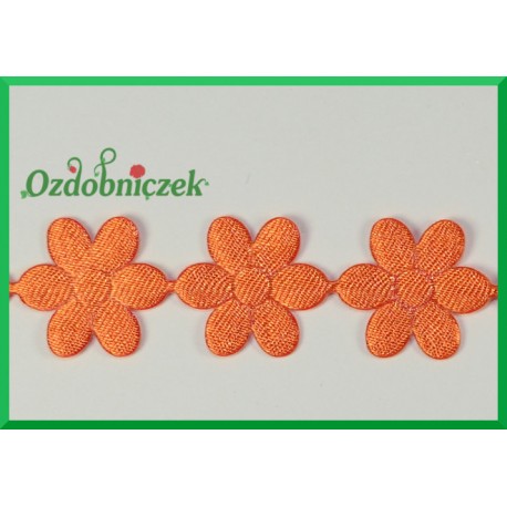 Aplikacje stokrotki rude