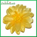 DALIA głowka kwiatowa 12CM ŻÓŁTA