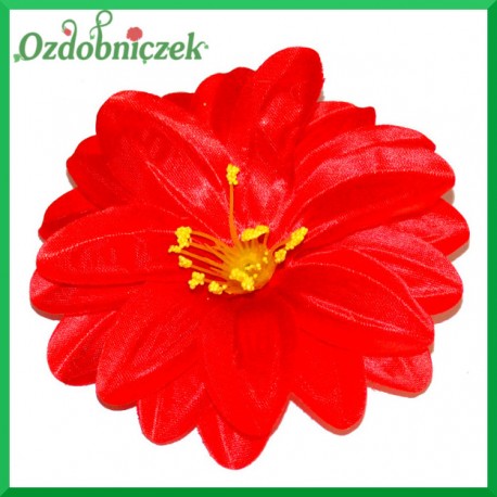 DALIA głowka kwiatowa 12CM CZERWONA