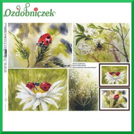 Papier do decoupage KLASYCZNY A4 D0500M - kwiaty biedronki
