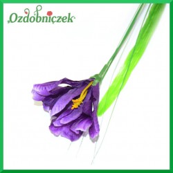 Kwiat IRYS idealny fiolet  45cm/1szt.