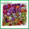 GWIAZDKI brokatowe malutkie KOLOROWE 1,7cm/144szt.