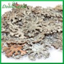 Śnieżynki naturalne z kory brzozy 5,5cm-BIELONE-25 SZT