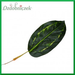 Liść DIFFENBACHII 2 34cm ciemno zielony