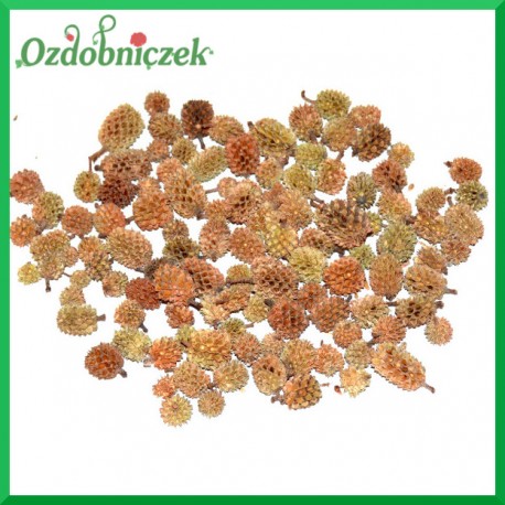 Susz CASURINA szyszeczki naturalne 65 gr  420687