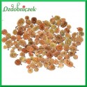Susz CASURINA szyszeczki naturalne 125g 