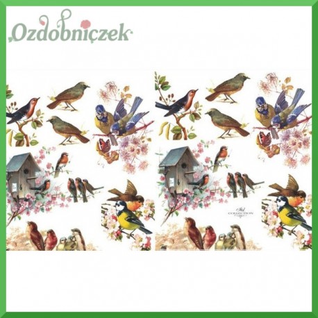 Papier do decoupage KLASYCZNY A4 - A4 D0389 - ptaszki, budka dla ptaków, sikorki