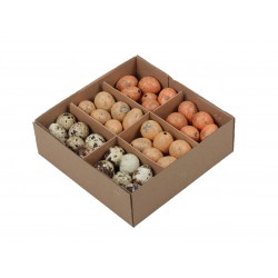 Jajka przepiórcze wydmuszki - zestaw 3 kolorów ( rude jasne pomarańczowe naturalne ) pudełko 72szt.