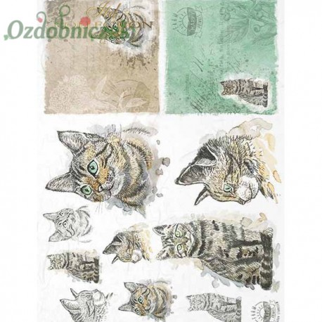 Papier ryżowy A4 - R1565 koty