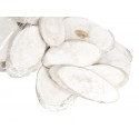 Plastry brzozy owalne duże bielone 10-12cm 20szt. 422891