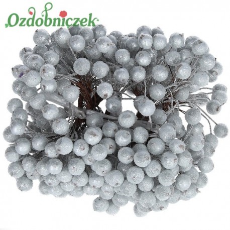Dzika róża oszroniona SREBRNA podwójna gałązka 400 owoców