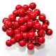 Jagódki czerwone podwójna gałązka 40 owoców