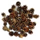 Szyszki naturalne sosnowe 3-5cm/50szt.