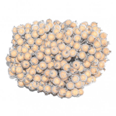 Dzika róża oszroniona biała podwójna gałązka 40 owoców