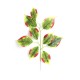 Liść LIPY zielono czerwony 55cm