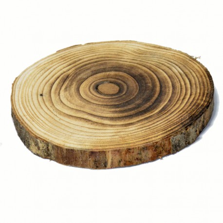 Duży plaster z drewna opalanego 20cm