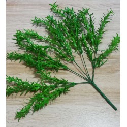 Gałązka asparagus - 40cm 