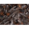 Piórka naturalne brązowe  10 g