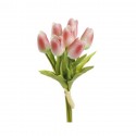 TULIPANY PIANKOWE BUKIET KREM JASNY RÓŻ 28CM 7SZT
