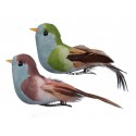 Ptaszki na klipsie 2 kolory 10cm