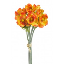 Anemon bukiet kwiatów POMARAŃCZOWYCH 6szt.