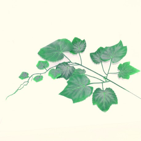 Liść winogrona omszały 55 cm