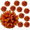 Chryzantema mini POMARAŃCZOWO-BRĄZOWA - główka kwiatowa 12szt.