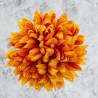 Chryzantema STRZĘPIASTA duża POMARAŃCZOWA - główka kwiatowa 14cm