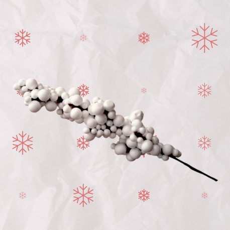 Borówka podłużna na gałązkach biała