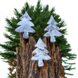 Choinki wybielane z kory brzozy 6x4cm pudełko 24szt.