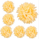 Chryzantema STRZĘPIASTA duża KREMOWA - główka kwiatowa 14cm/6szt
