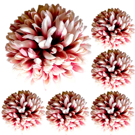 Chryzantema STRZĘPIASTA duża FIOLETOWA - główka kwiatowa 14cm/6szt