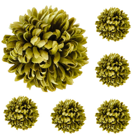 Chryzantema STRZĘPIASTA duża KAWOWY, cieniowany - główka kwiatowa 14cm/6szt