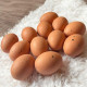 Jajka imitujące naturalne w siatce  5 cm /12 szt. 