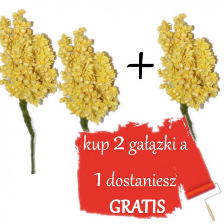 SUSZ OZDOBNY ŻÓŁTY 2+1 gratis-wiązki 28cm