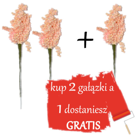 Jaśmin suszony, SUSZ OZDOBNY ECRU wiązka 28cm / 2+1 gratis