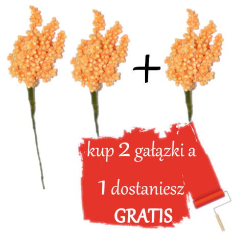 Jaśmin suszony, SUSZ OZDOBNY ZIELONY wiązka 28cm / 2+1 gratis