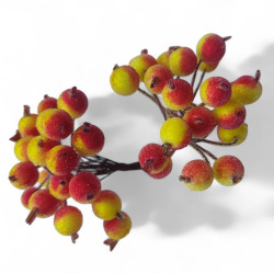 Dzika róża oszroniona żółto-czerwona podwójna gałązka 40 owoców