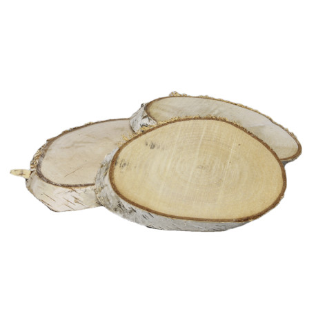 Plaster brzozy z korą - baza pod stroik XL 