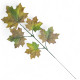 Zestaw 12szt Liścia jesiennego klonu, omszały, zielono-brązowy 59cm