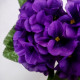 Bukiet kwiatowy - prymulki fioletowe - 20cm