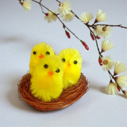 Kurczaki w gniazdku 174-01