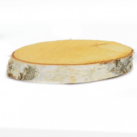 Plaster drewna BRZOZA - baza pod stroik 12-14 cm 1szt.