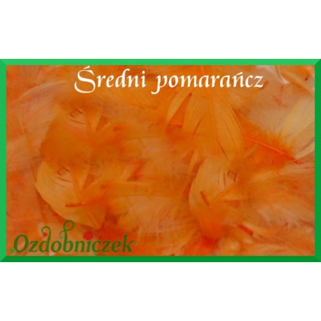 Pióra krótkie średni pomarańcz 10g