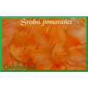 Pióra krótkie średni pomarańcz 10g