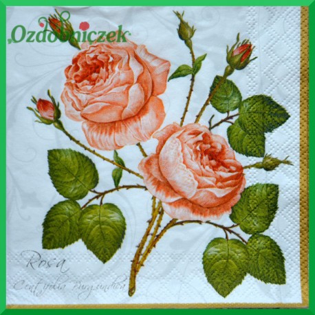 Serwetka do Decoupage gałązka róży 1 szt.